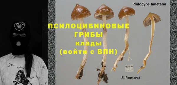 гидропоника Абдулино