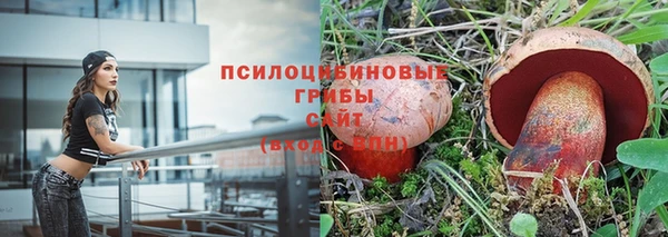 соль ск Алексеевка