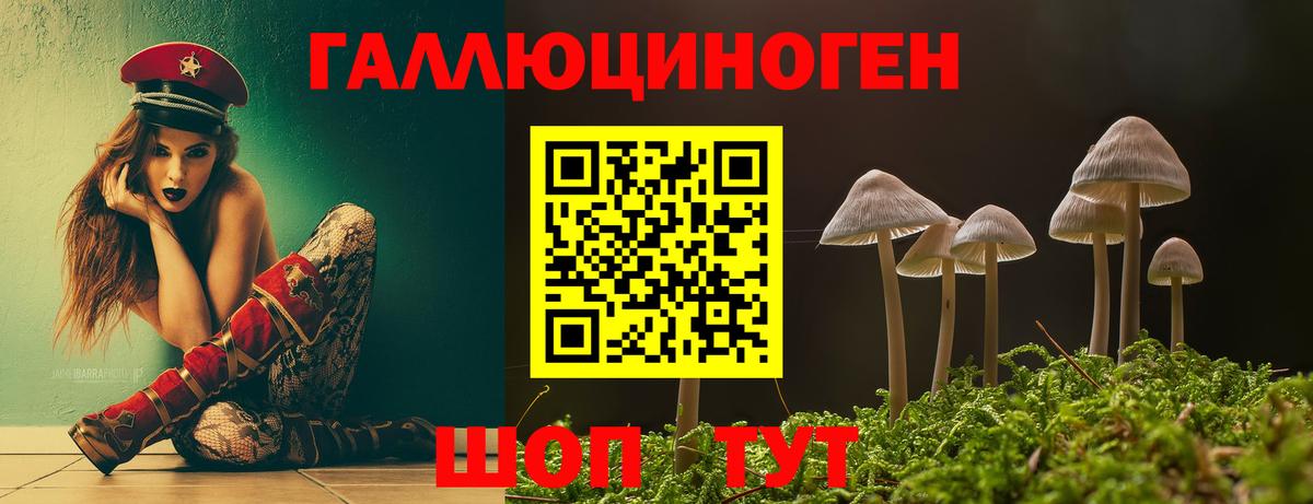 Псилоцибиновые грибы Magic Shrooms  Вход с VPN  Курск 
