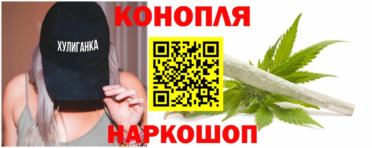 Марихуана сатива Курск